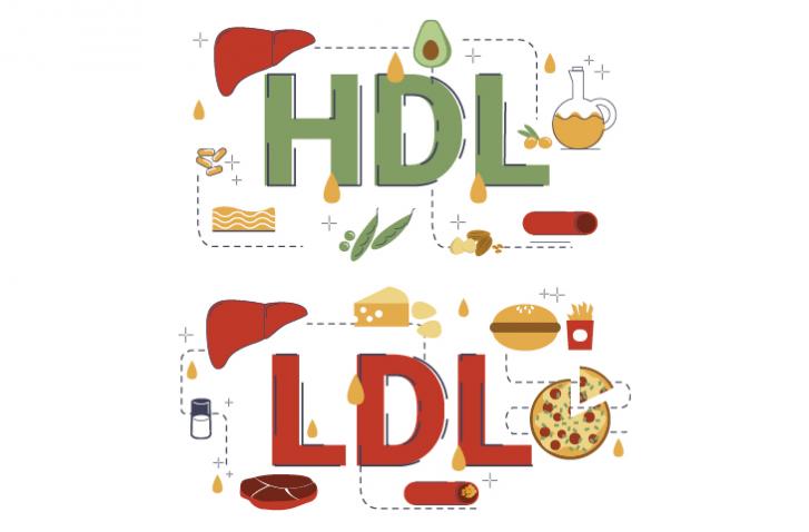 Alimentos con hdl colesterol bueno